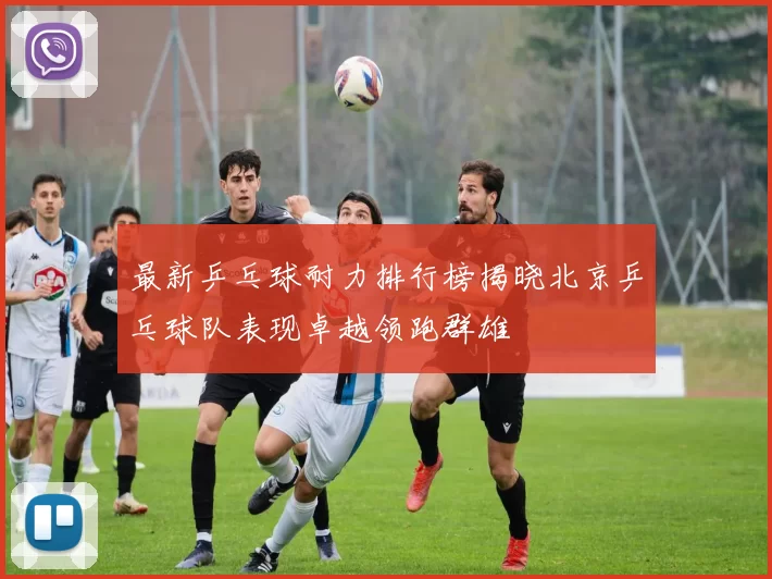 最新乒乓球耐力排行榜揭晓北京乒乓球队表现卓越领跑群雄