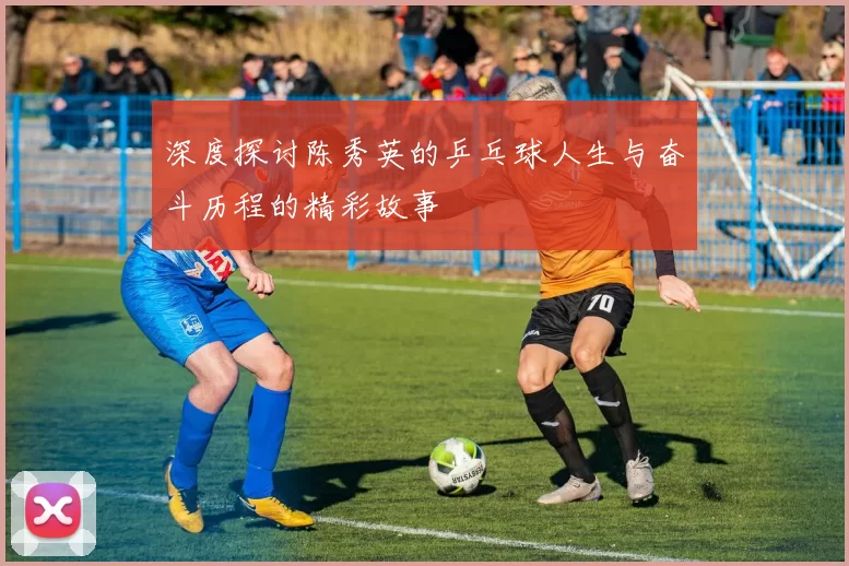 深度探讨陈秀英的乒乓球人生与奋斗历程的精彩故事