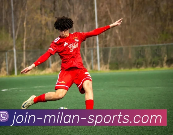 米兰体育入口APP 封面图